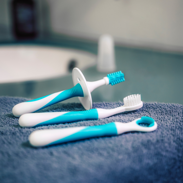Dentistar 牙齒護理入門套裝