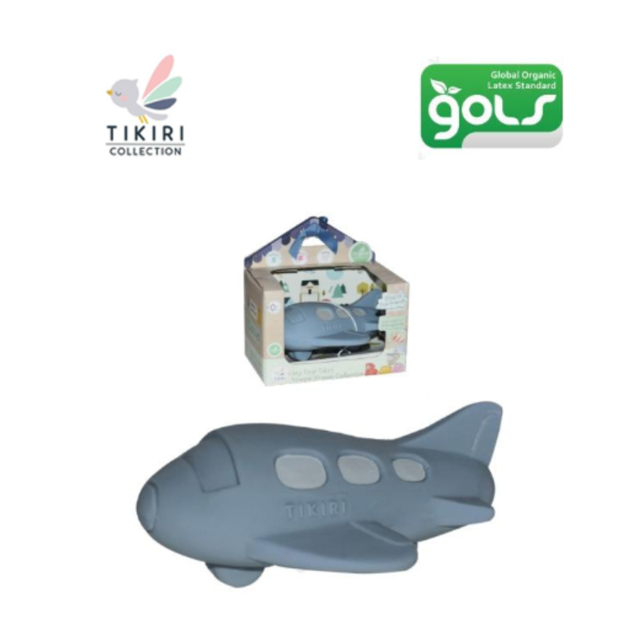 Plane -Teether, Rattle & Bath Toy