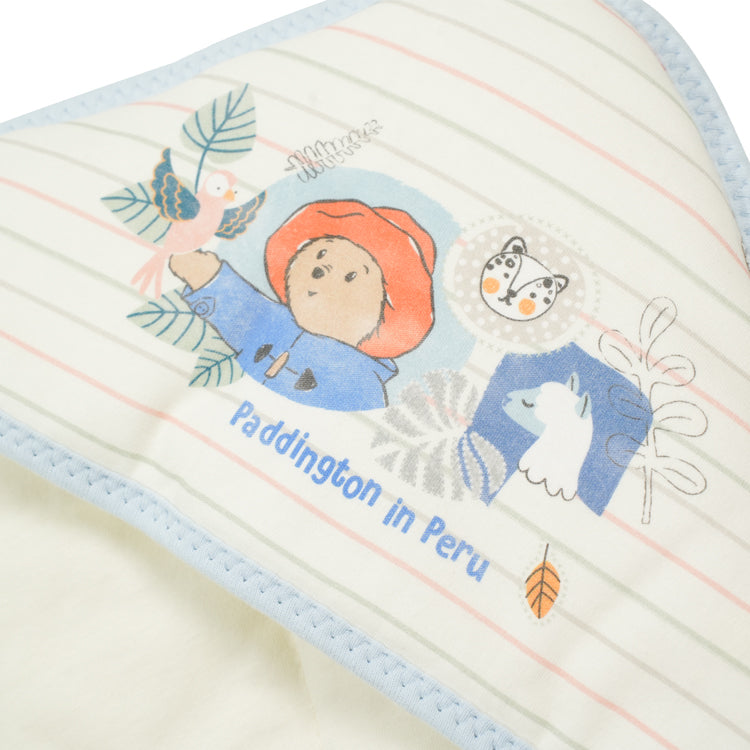 Paddington Bear Baby Blanket (Winter)