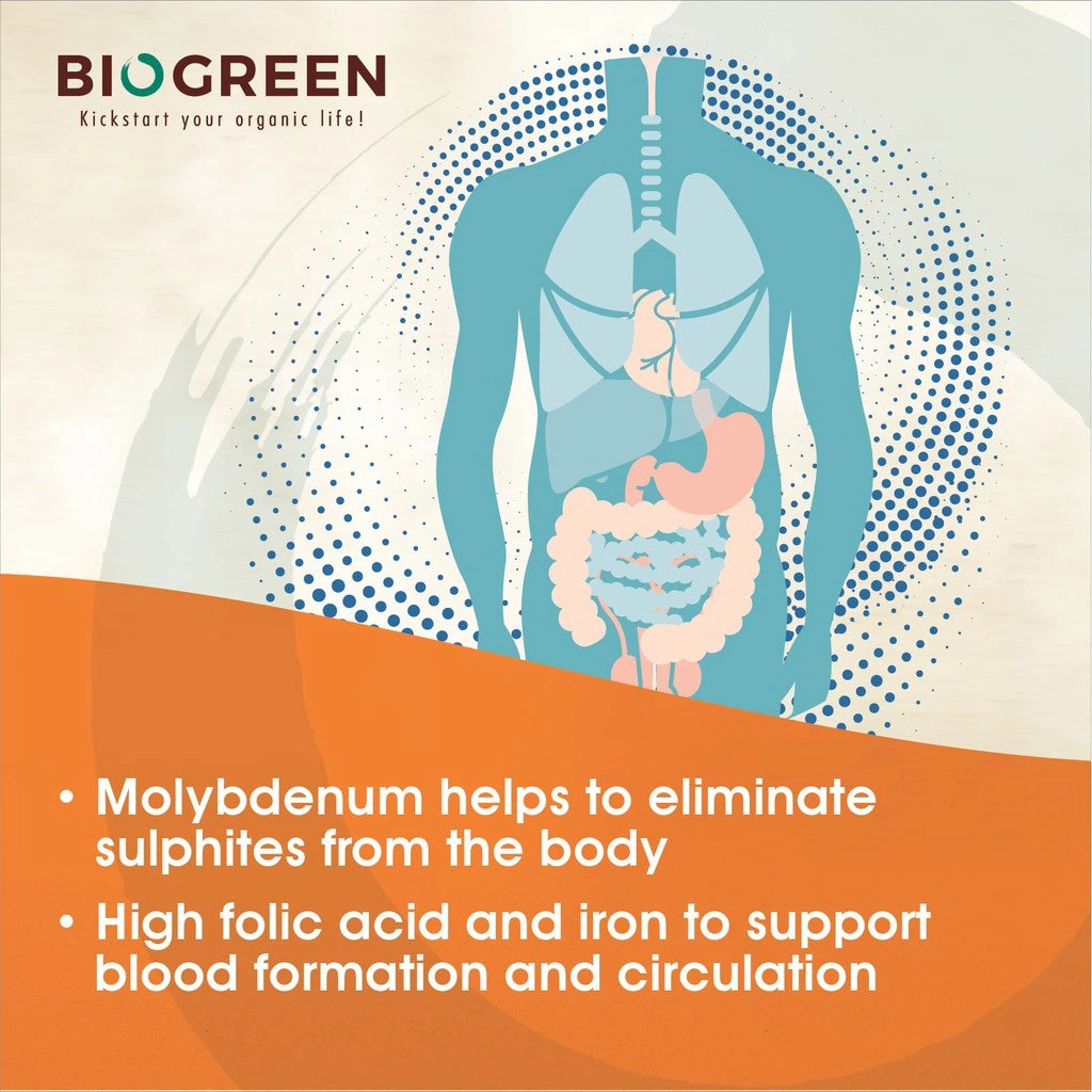 Biogreen O'Tigres (Low Cane Sugar) Organic Black Bean Powder