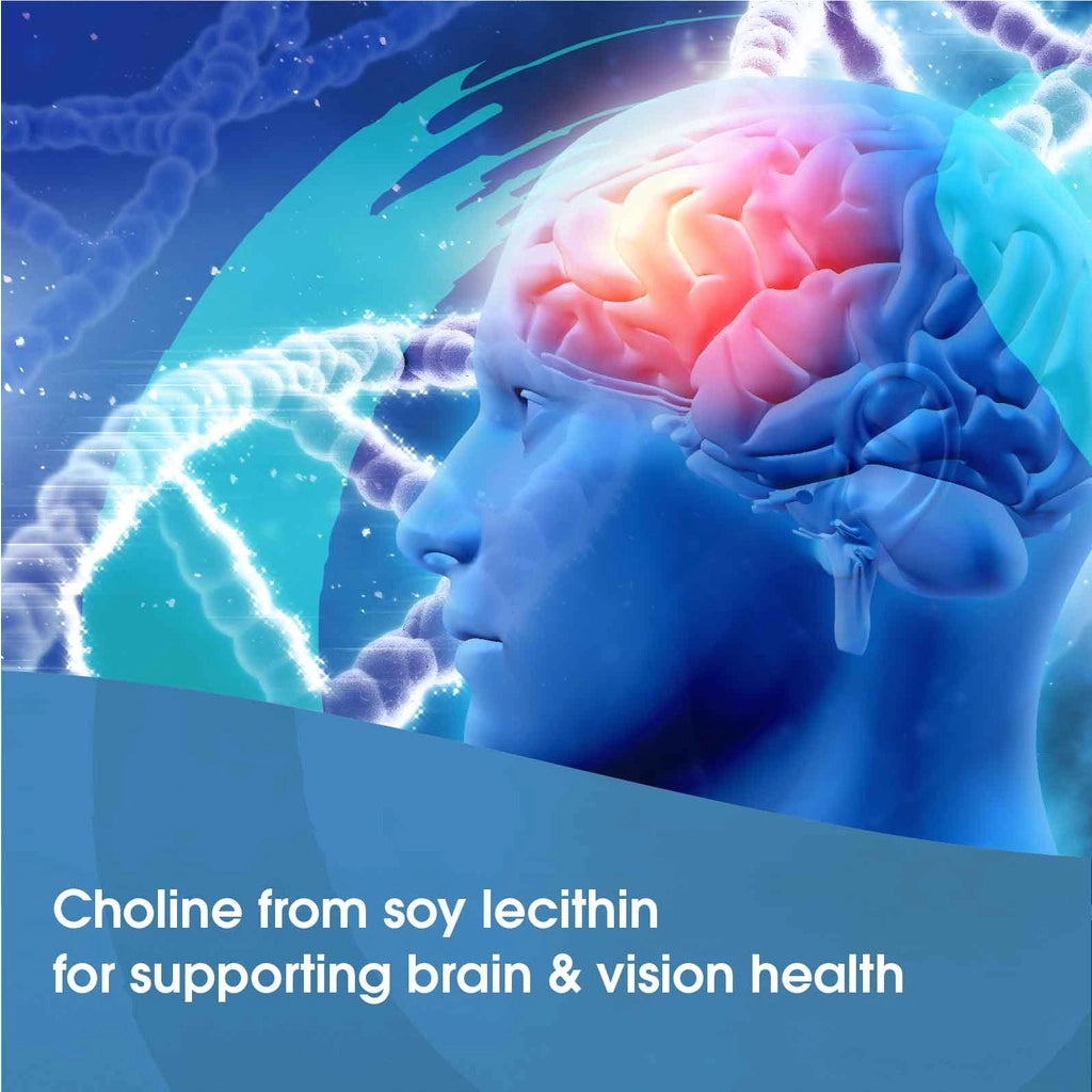 Biogreen Enrich Pro Oat Milk Energy (11's x 30g)