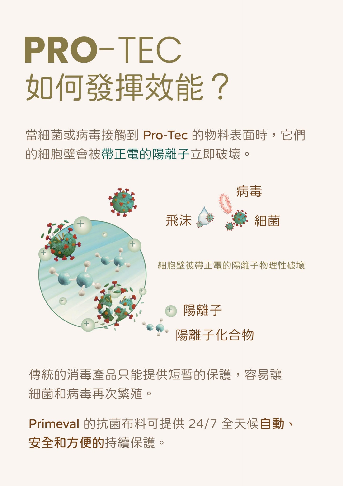 殺菌包被 2條裝